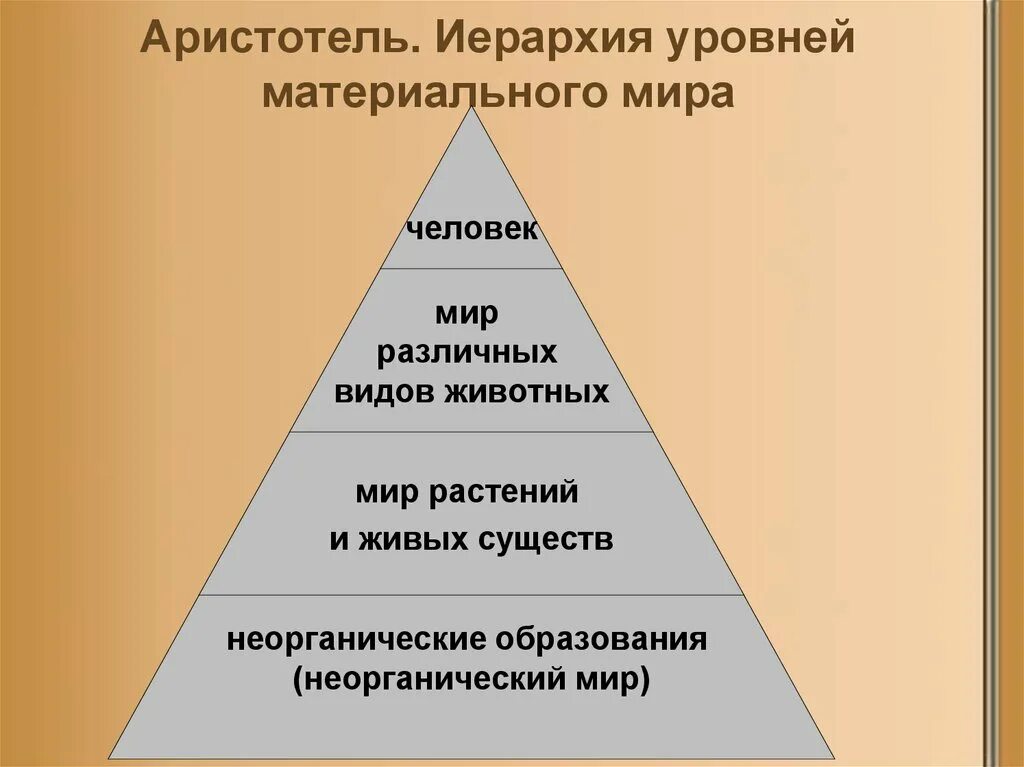 Иерархия природы. Иерархия Аристотеля. Уровни иерархии. Иерархия уровней Аристотель. Иерархическая лестница Аристотеля.