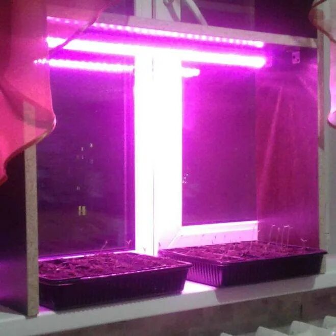 Подсветка окон. Розовая лампа для рассады. Ультрафиолетовая ультрафиолетовая лампа для рассады. УФ подсветка для растений.