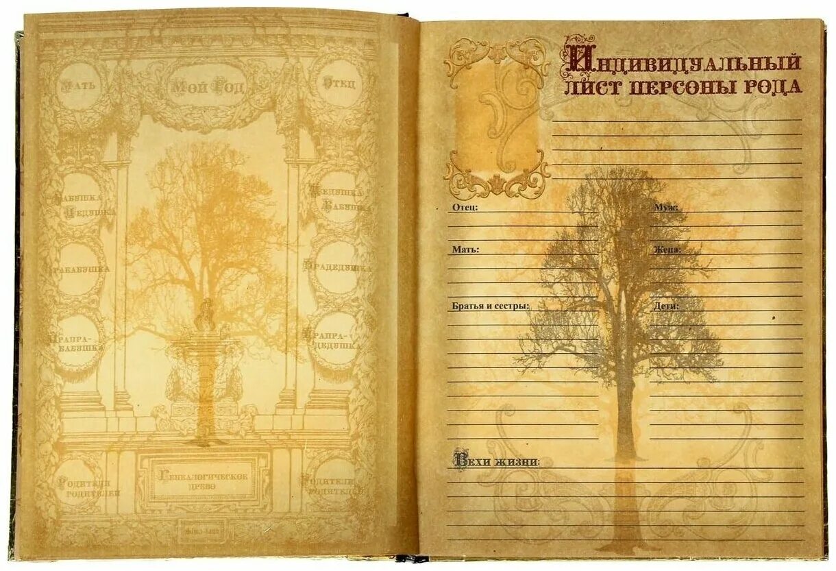 Где купить род. Листы для родословной книги. Страницы родословной книги. Родовая книга. Страницы родословной книги для распечатки.