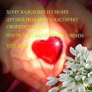 Добра любви и понимания вам