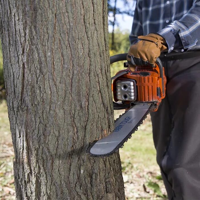 Бош для рубки деревьев. Пила дисковая для расчистки кустарников. Cut down Trees. Cutting down Trees. Cut them down