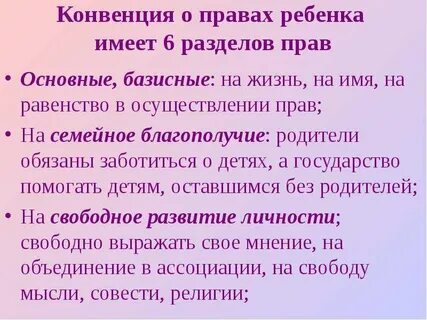 Конвенция жизнь