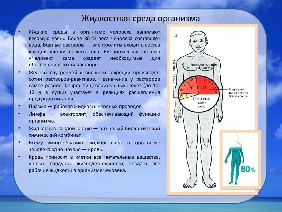 Жидкости тела человека. Жидкости в организме человека. Жидкости в человеческом организме.