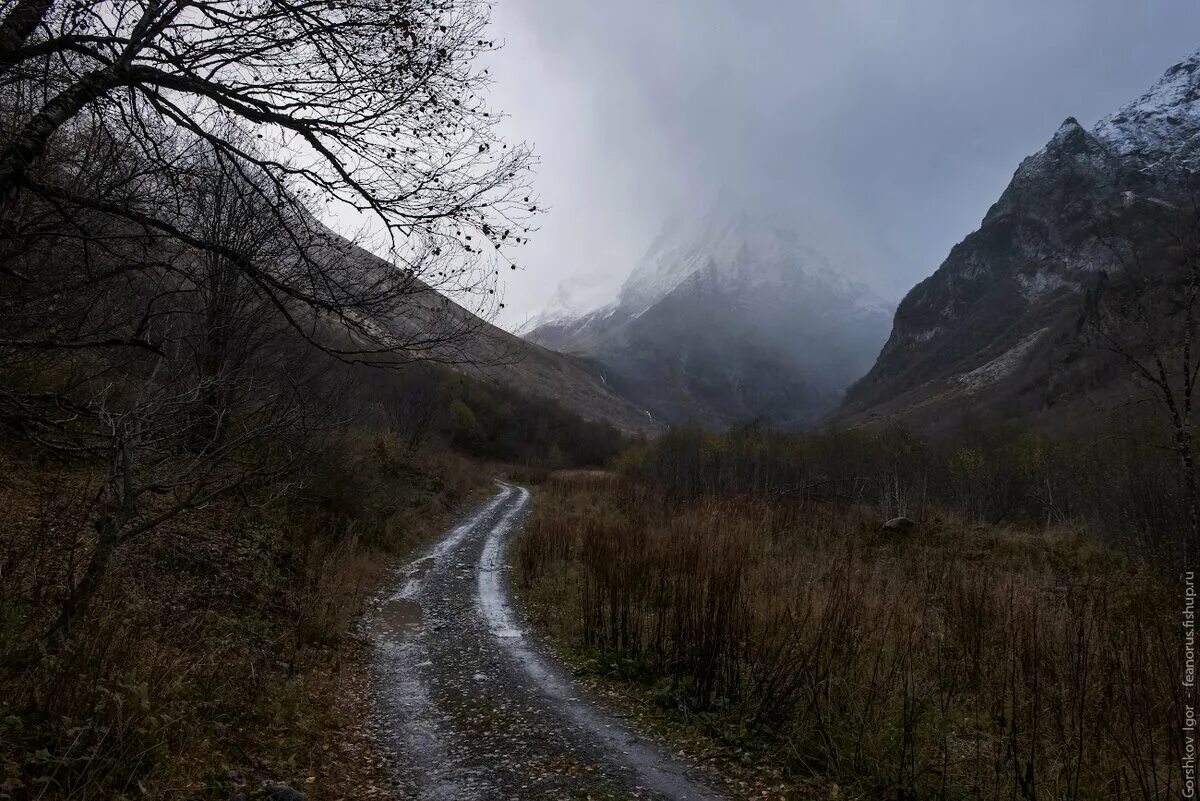 Тропа далеко видна. Ущелье Борго Трансильвания. Мрачный пейзаж. Мрачные горы. Горы в тумане.