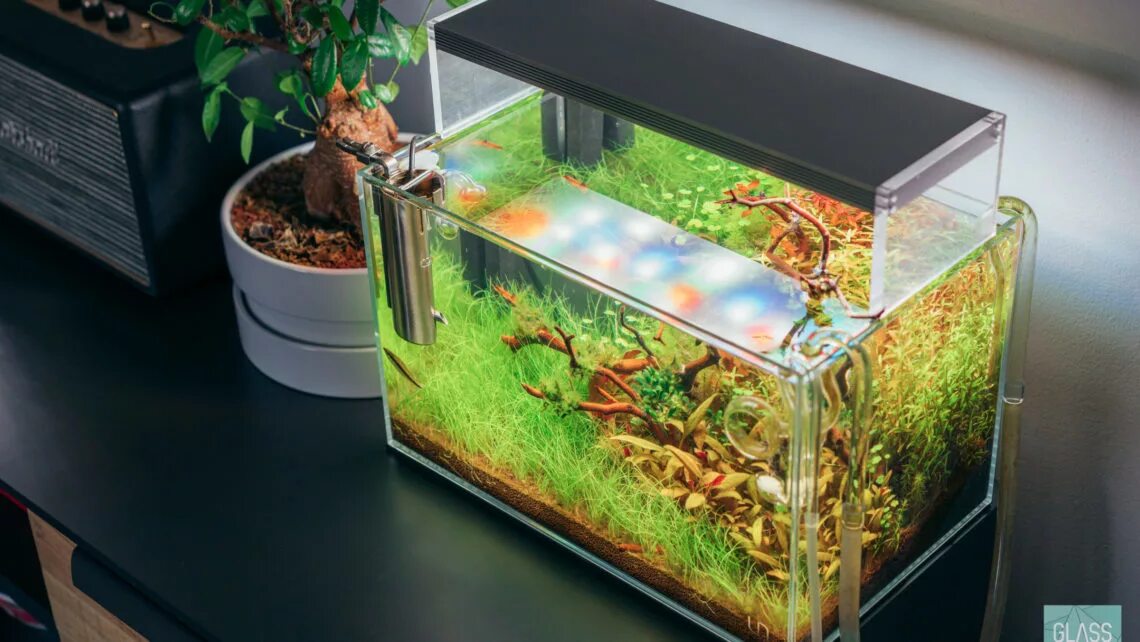 Голубая вода в аквариуме. Небольшой аквариум для начинающих. Вода налитая в аквариум прямоугольной формы. Вода налитая в аквариум прямоугольной формы. Чистка аквариума.