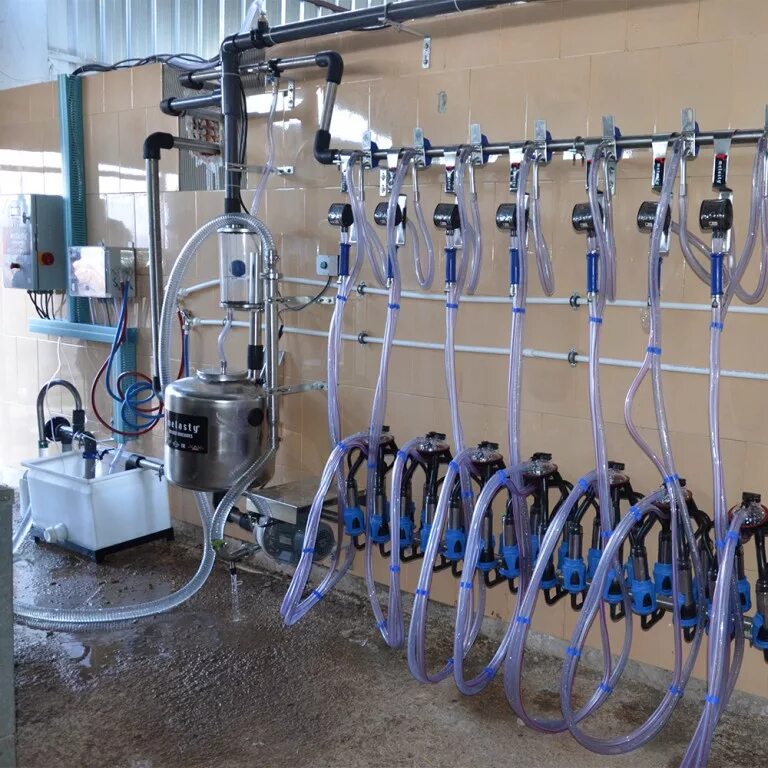 Промывка доильных. Ерши для мойки доильного оборудования. Линейный молокопровод делаваль. 000. Агрегат для промывания доильного аппарата.
