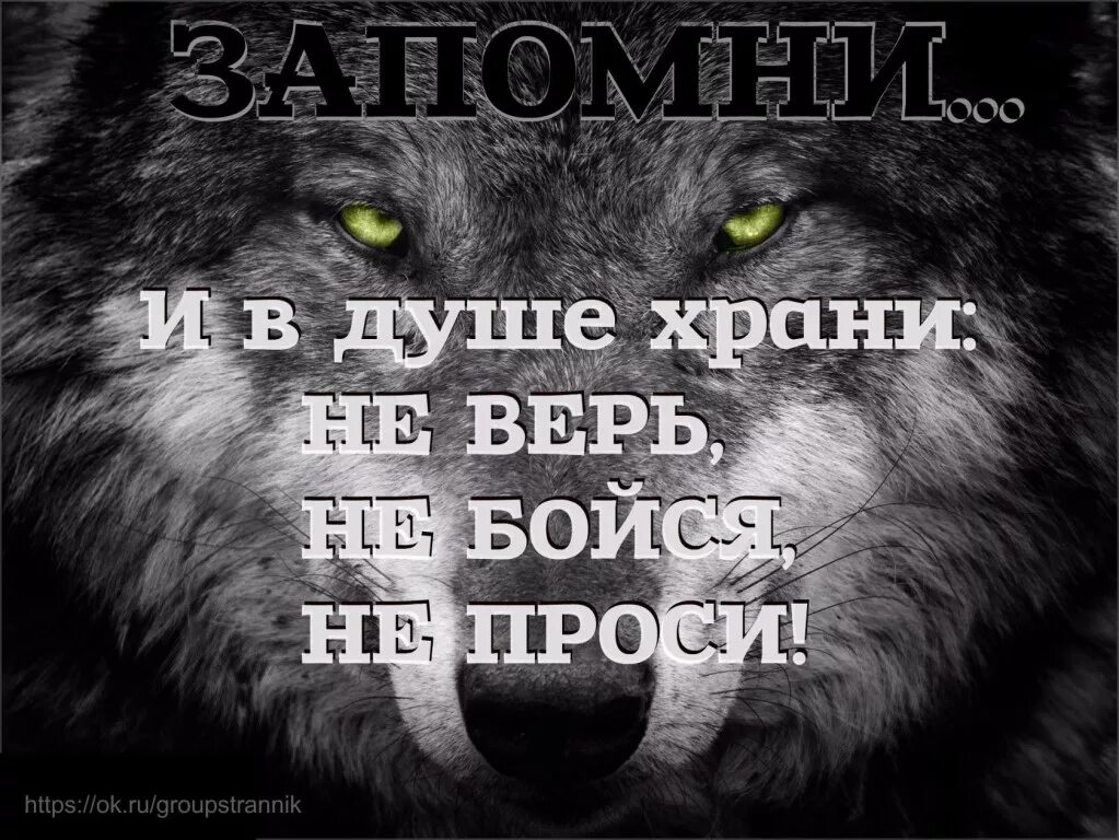 Никогда никого не прошу. Не верь не бойся не проси. Нене верь. Не бойся не проси. НК верь не бойчя не прост. Ни верь ни бойся ни проси.