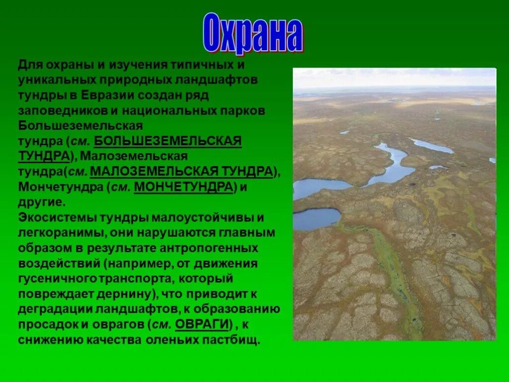 Охрана природной зоны тундры. Особо охраняемые природные территории тундры. Экологические проблемы тундры. Особо охраняемые компоненты тундры. Охраняемые компоненты природы тундры