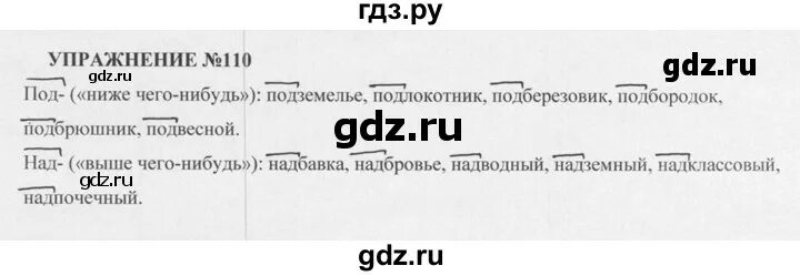 Русский язык пятый класс номер 83. Русский язык 5 класс Разумовская. Русский язык упражнение 110. Русский язык 5 класс Разумовская 2 часть.