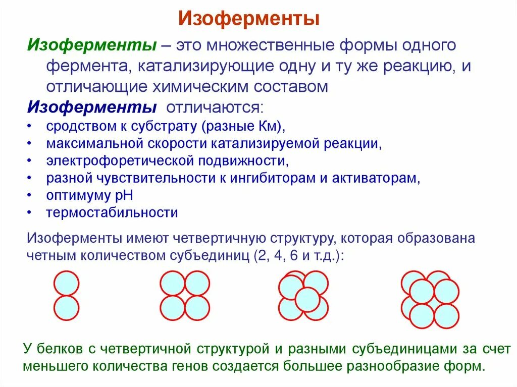 Ферменты изоферменты