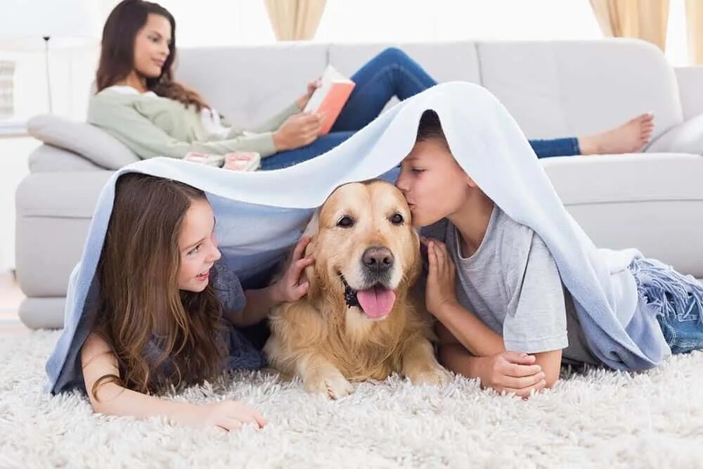 Having pets at home. Сестра собака. Семья на диване с собакой. Плед для собак диван. Пара с собакой на диване.