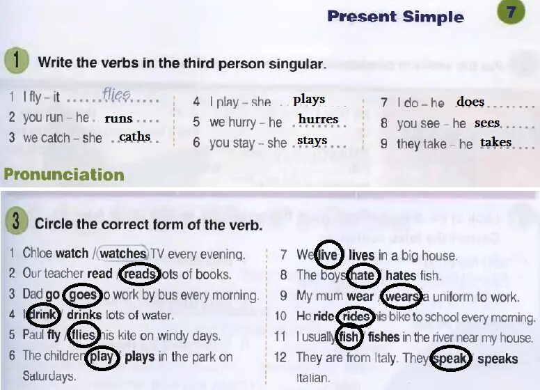 He watches tv every day. Переделай предложения по образцу she watches TV every Day. 1 Write the verbs. Find and circle the past simple forms of the verbs below 6 класс. Write sentences using the third person ответы.