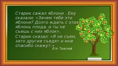 Старик сажал яблони ему сказали