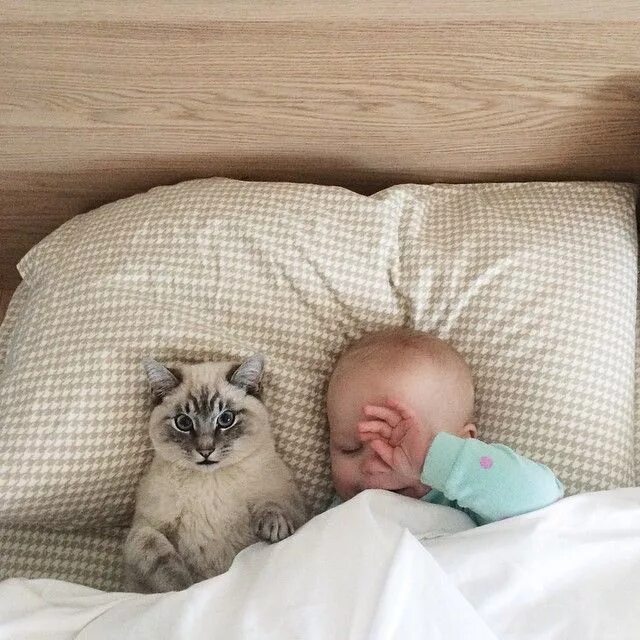 Сон ребенок котенок. Кошка спит с ребенком. коты спящие с ребенком. кот и спящий ребенок. малыш спит с котом.