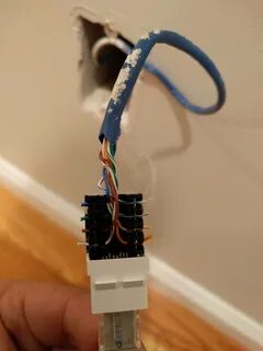 Cat 5e подключение интернет