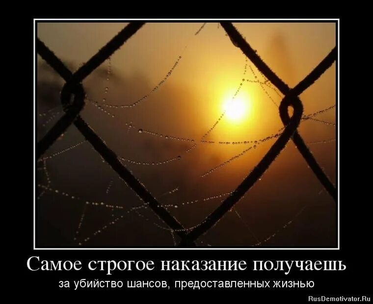 Учитель бьет ученика. Самое строгое наказание. Самое строгое наказание. Самое строгая норма наказание. Лучи сквозь решетку.