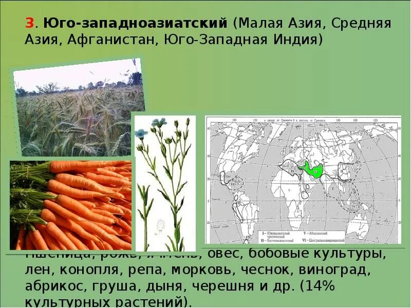 Восточноазиатский центр происхождения культурных. Юго Западно азиатский центр происхождения культурных растений. Юго Западный центр происхождения культурных растений. Юго-Западноазиатский центр происхождения культурных. Культурные растения Юго западноазиатского центра.