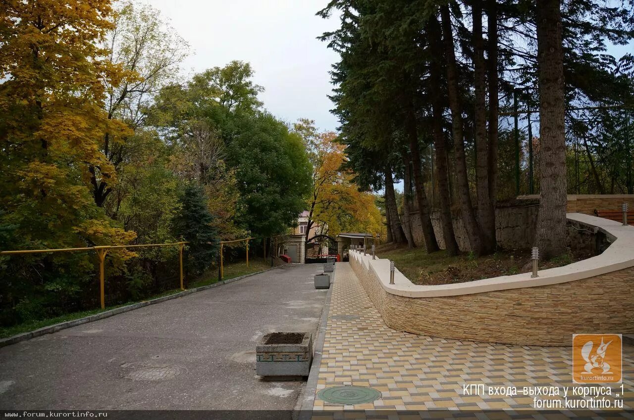 Лагерь сосновый бор ставропольский край. Сосновый бор фото кисловодск. Санаторий сосновый бор орлёнок зудилово. Санаторий сосновый бор кисловодск. Санаторий сосновый бор кисловодск для детей.