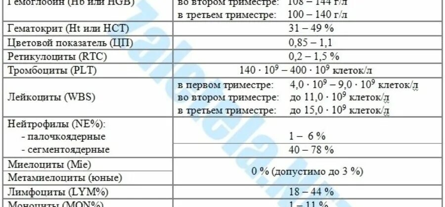 Белок в крови при беременности норма. СОЭ У беременных 3 триместр. СОЭ У беременных 1 триместр. Лейкоциты при беременности 3 триместр. Лейкоциты при беременности 2 триместр норма.