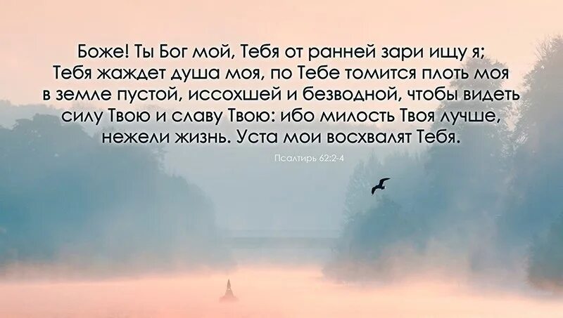Господь сила моя. Сказал господь господу моему. Бог мой - скала моя; на него я уповаю; щит мой, рог спасения моего. Мой господь лишь тебя. Господь мой и бог мой.
