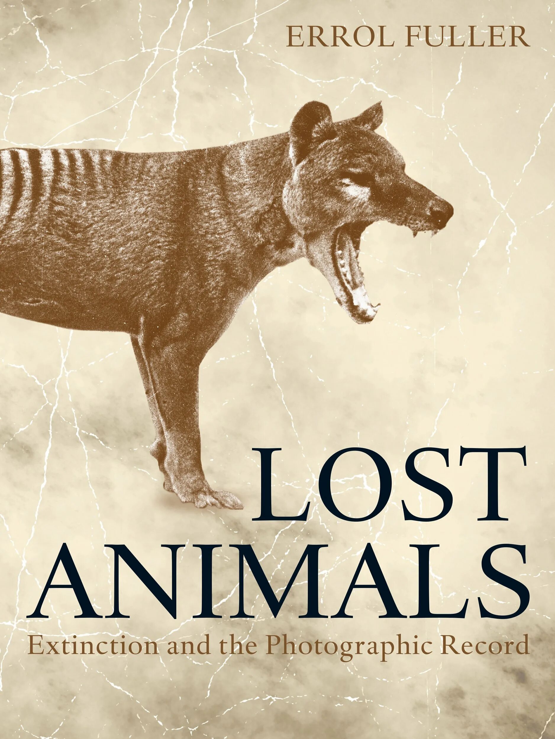 Lost the animals. Extinct animals book. Книга животные. Extinction of animals. Анимал лост.