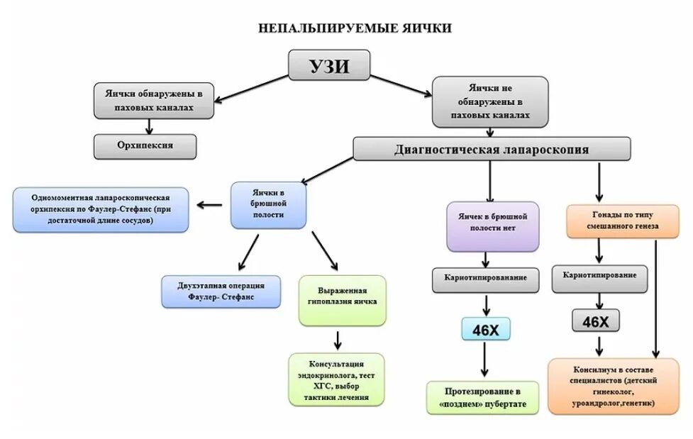 Неопущение яичка в мошонку у ребенка. Классификация крипторхизма у детей. Алгоритм диагностики при крипторхизме. Крипторхизм классификация. Бесплодие яичко