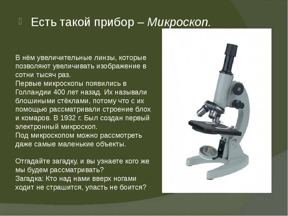 Проект микроскоп 5 класс