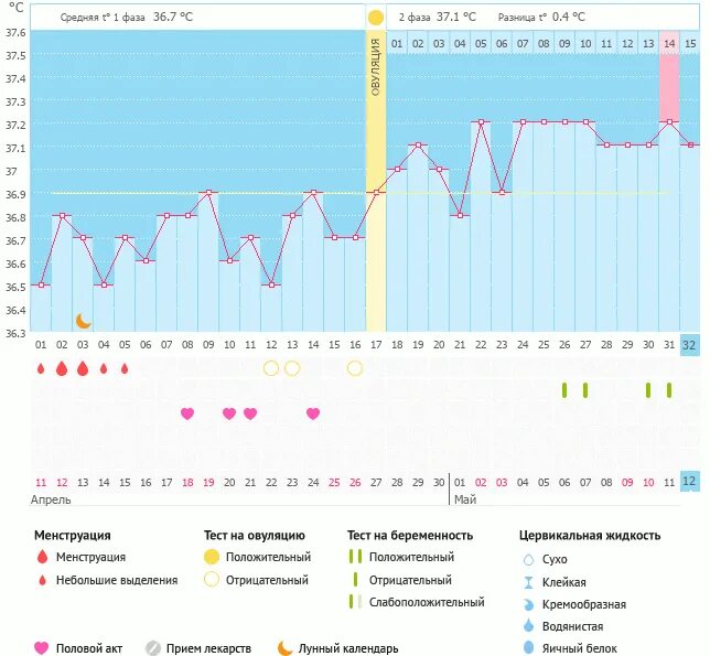 Температура после овуляции 37. Базальная температура 36.7. 7 День после овуляции БТ 36. 9. Базальная температура упала на 9 день после овуляции. БТ на 7 день после овуляции.