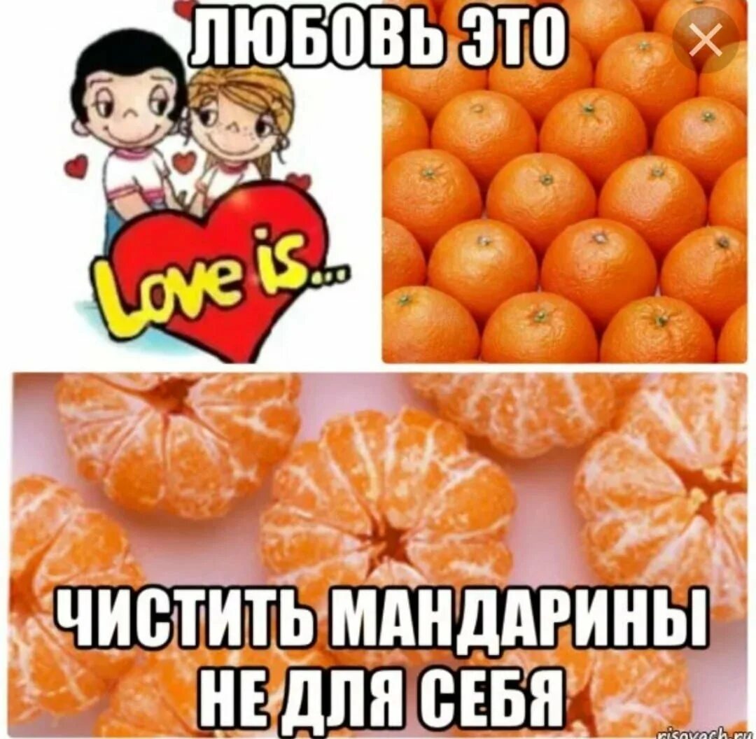 Мандарины прикол. Мандарины и любовь. Я люблю мандарины. Мемы про мандарины.