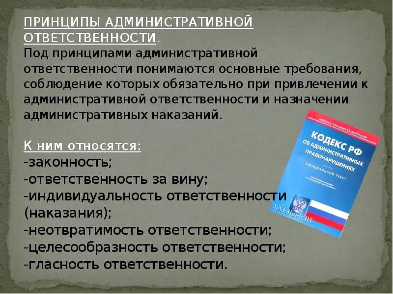 Мера административной ответственности рф. Административная ответственность. Принципы административноймответствености. Административная ответственность презентация. Принципы административной ответственности.