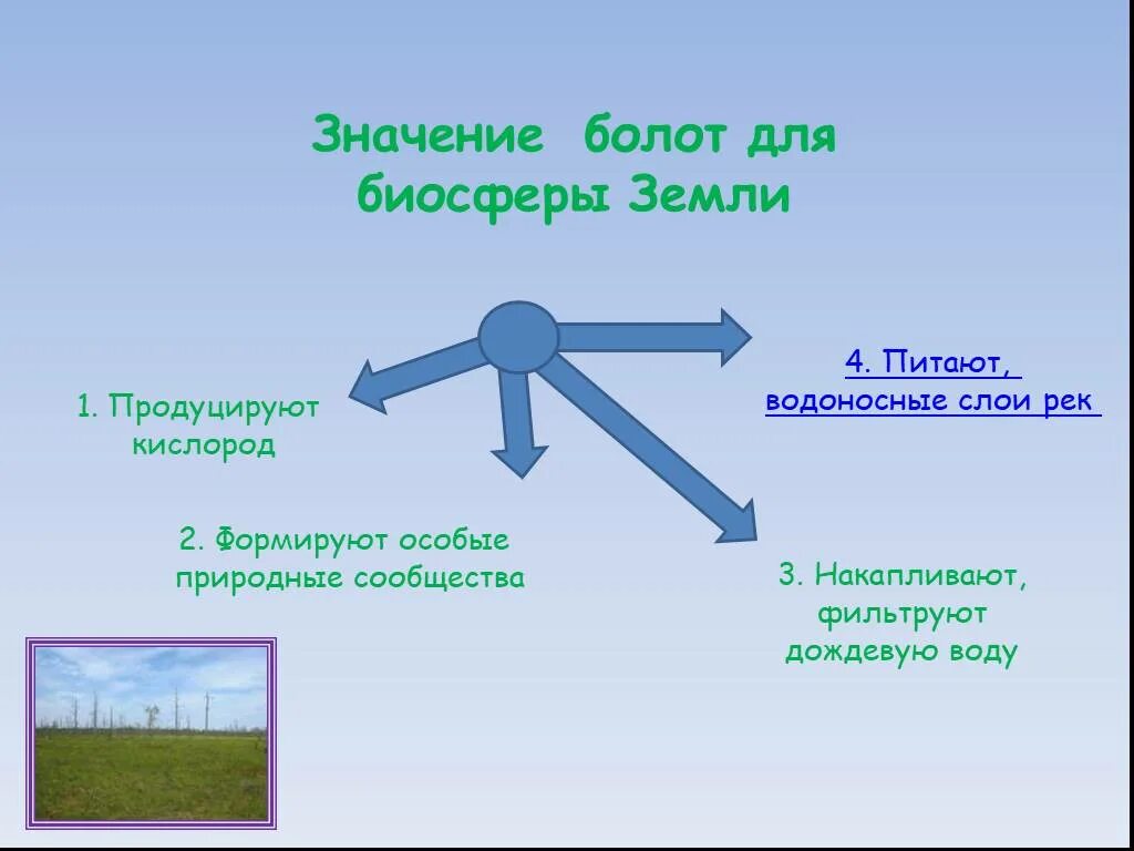 Функции болот. Значение болот. Значение болот в природе. Значение болот в природе и для человека. Значение болота для человека и природы.