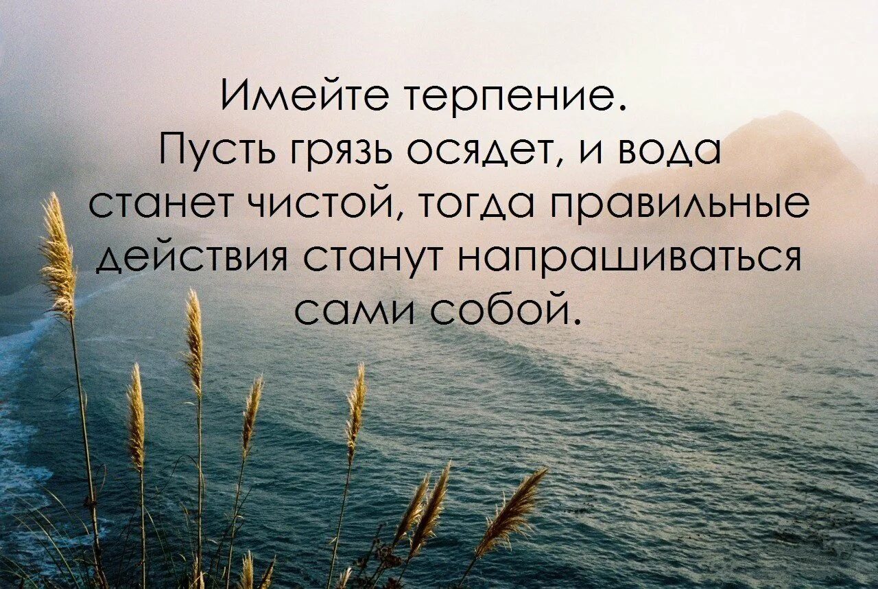 Терпение цитаты. Высказывания про терпение. Цитаты про терпение и выдержку. Терпение цитаты и афоризмы. Время терпеливых