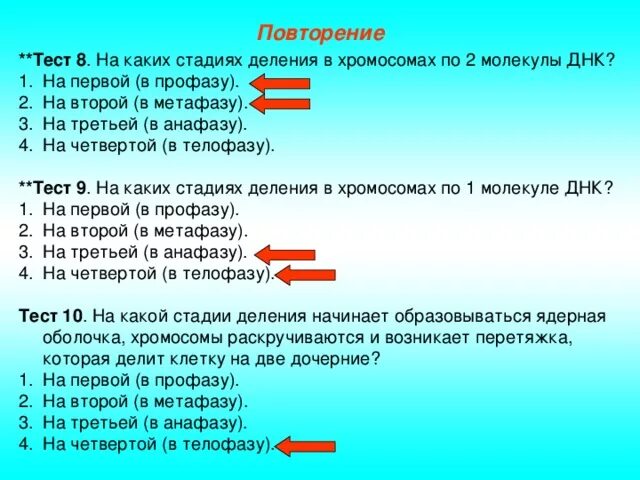 На каких стадиях деления в хромосомах по две молекулы ДНК. Деление молекул ДНК В анафазе. На каком этапе деления молекула ДНК удваивается. Тип деления стадии деление количество хромосом и молекул ДНК список.