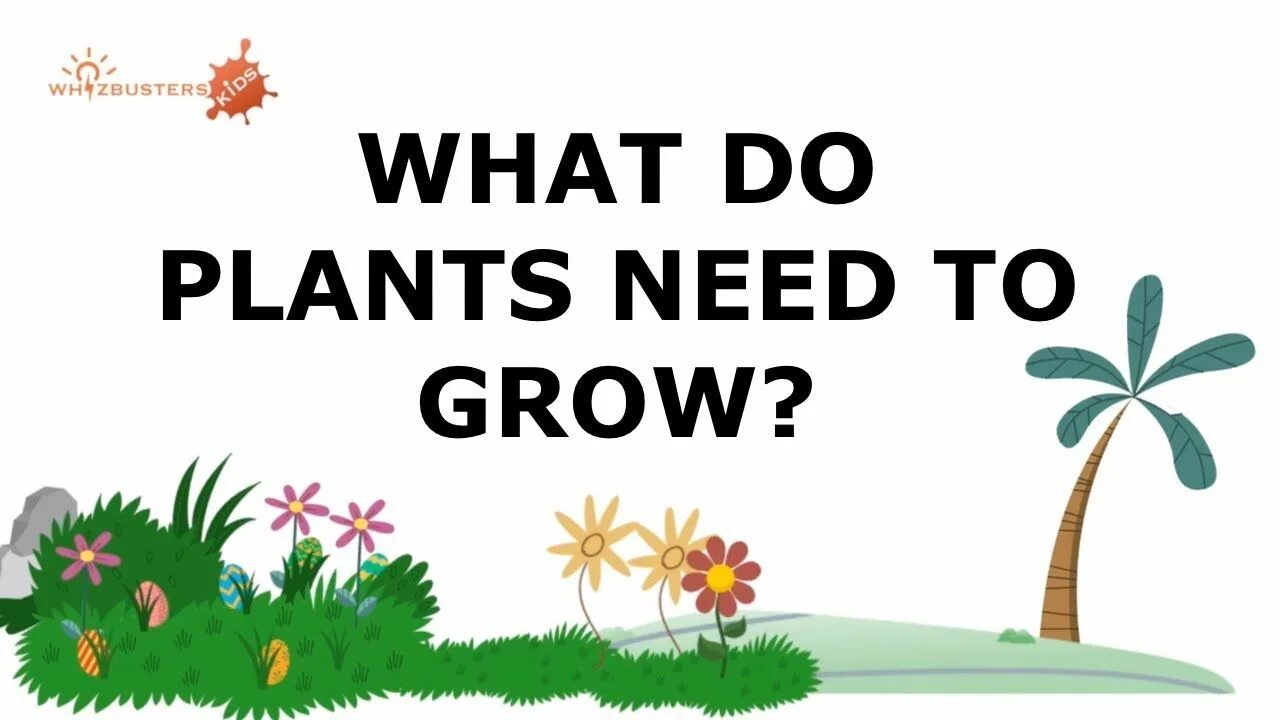 We grow well. What do Plants need. Why do we need Plants. Need to grow. Plants need to grow well.