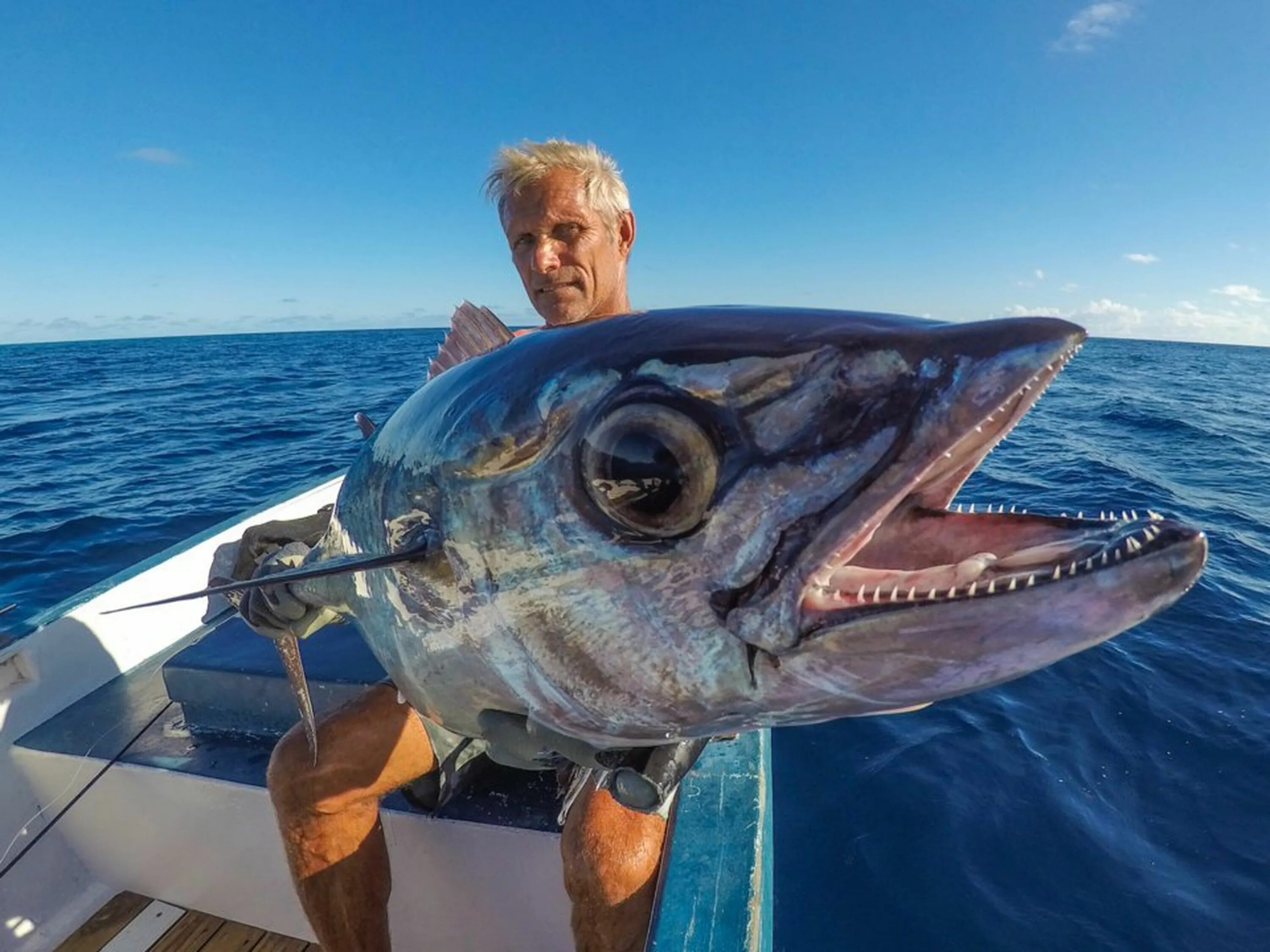 He like a fish. Тунец Сейшелы. Рыбы на Сейшелах. Глубоководная рыбалка Сейшелы. Рыбалка на Сейшелах.