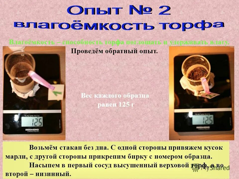 планирование эксперимента пассивный и активный. обратный эксперимент. обратный эксперимент. сквернословие влияние на растения. эксперименты с цветом.