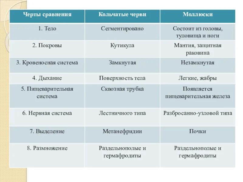 3 признака членистоногих. Сравнительная таблица кольчатых червей и моллюсков. Таблица сравнения кольчатых червей и моллюсков. Сравнение классов типа кольчатые черви таблица. Сравнение строения моллюсков и кольчатых червей таблица.