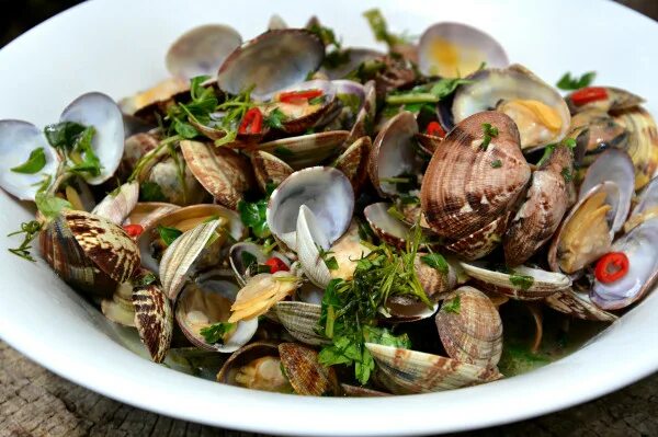 моллюск венерка вонголе. вонголе ударение.