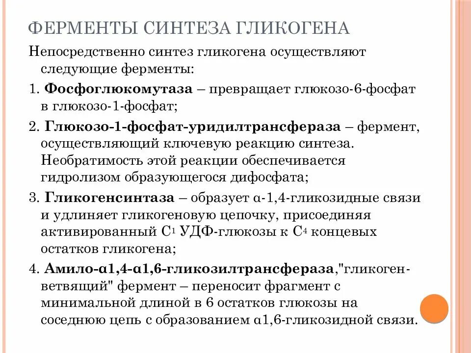 Фермент синтеза гликогена. Синтез ферментов. Ферменты синтеза гликогена. Химический Синтез и ферментативный Синтез. Внешний обмен углеводов ферменты.