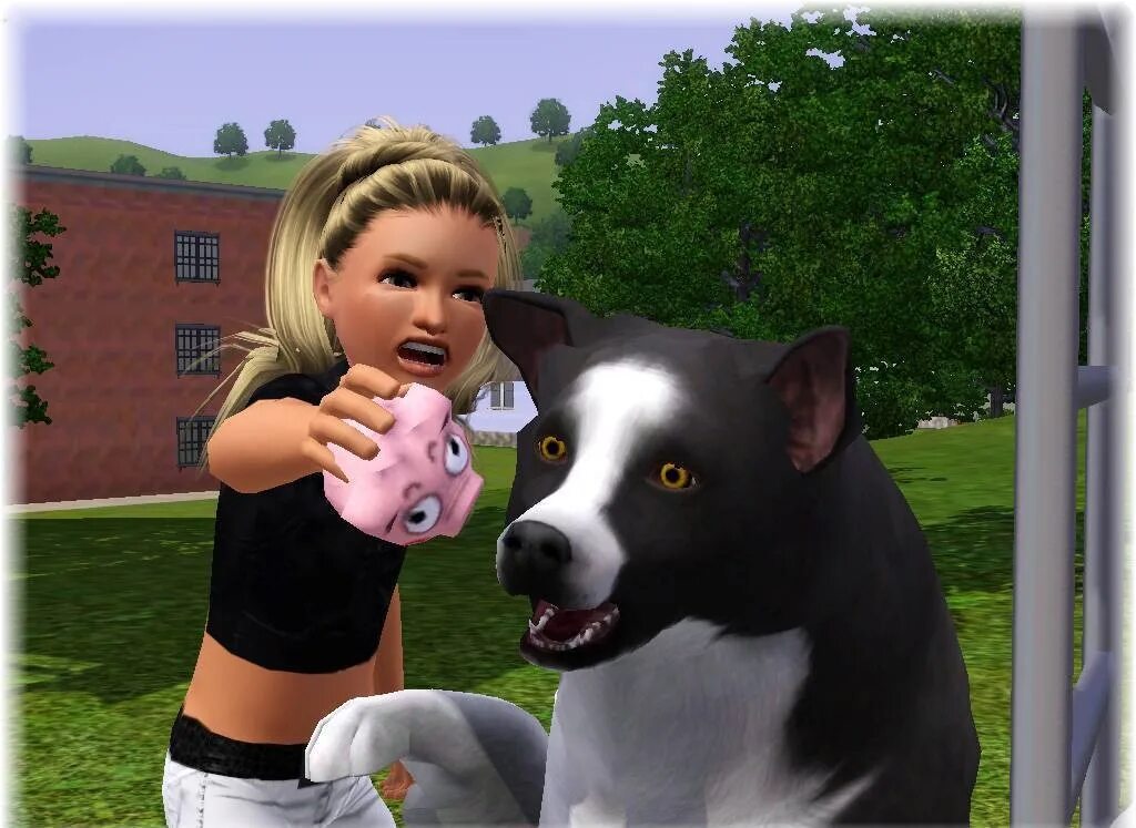 Pet 3 book. Симс питомцы. Симс 3 питомцы. SIMS 3 питомцы ps3. Питомцы симс 3 год.