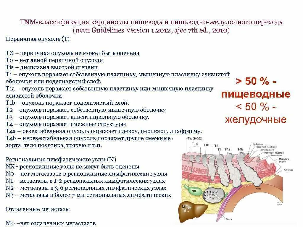 Пищевода 4 стадия. Опухоли пищевода т2 по классификации TNM соответствует. Опухоли пищевода классификация опухолей. Классификация TNM пищевод. ТНМ пищевода классификация.