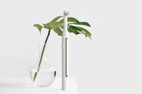 White plant