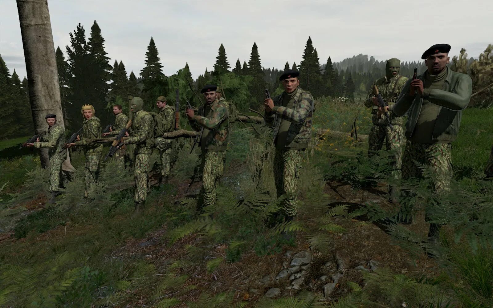 Лучший мод арма. Чдкз арма. arma 2 чсо. арма 2 повстанцы. арма 3 чдкз.