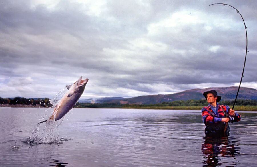 Поймал рыбу во сне. Фишинг Hub. Grab Fish. Fish Hub.