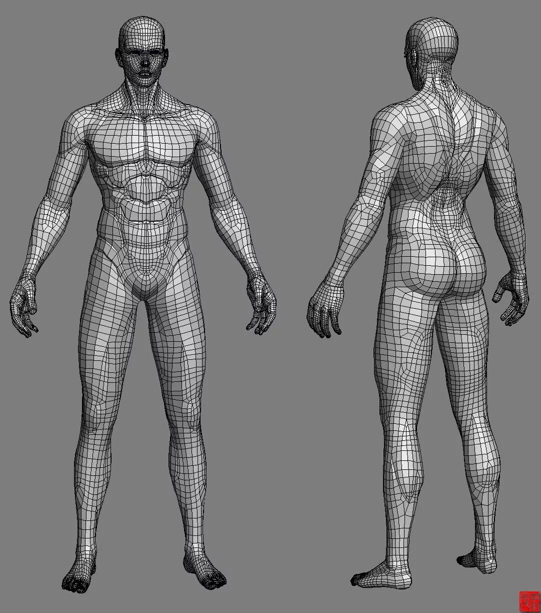 Сетчатое тело. Моделирование человека. Трехмерная модель человека. 3д модель человека. Модель человека для моделирования.
