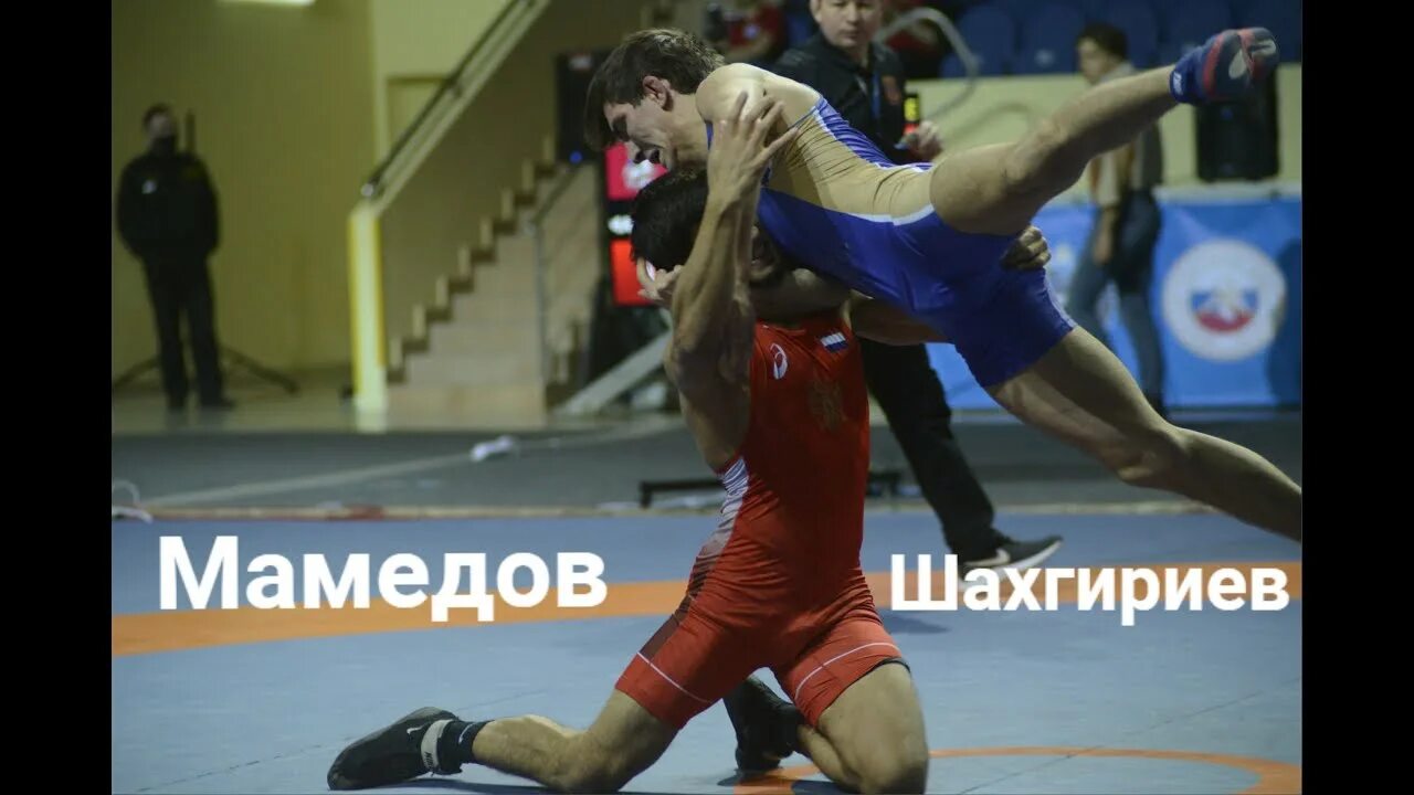 Усман шахгириев. Мамедов вольная борьба. Мамедов вольная борьба. Даурен куруглиев борец. Магомед куруглиев.