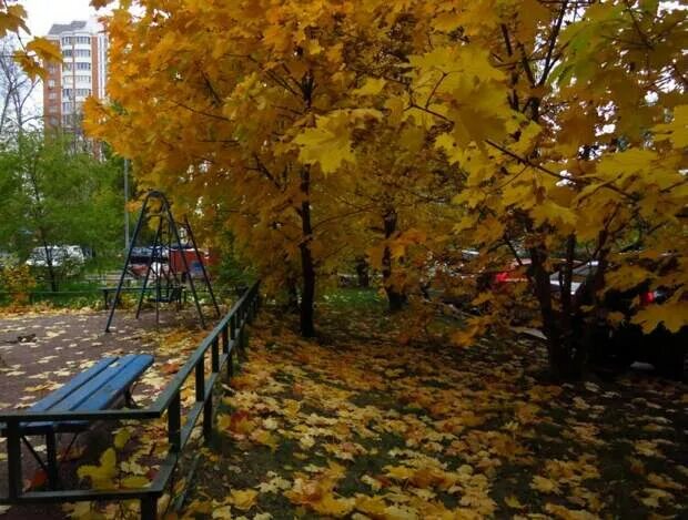 Осенний костёр (Вячеслав Корсунов) / Стихи.ру