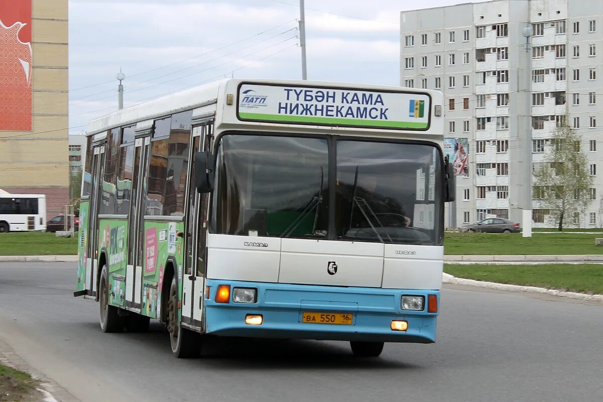 НЕФАЗ В Нижнекамске. НЕФАЗ 529900 В Нижнекамске. Автобусы Нижнекамск. Нижнекамск общественный транспорт.