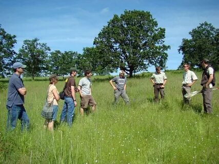 I work in the field of