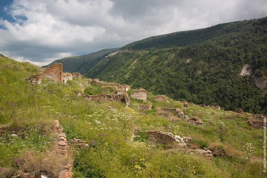 Село чинах. Харачой Чечня. Село Харачой Чечня. Чечня гора Харачой. Село Харачой Веденского района Чеченской Республики.